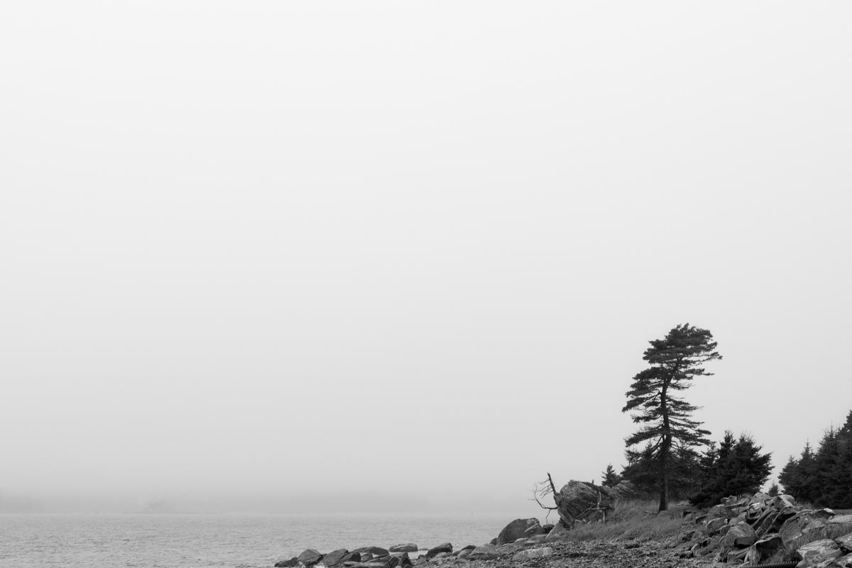 The village of Port Bickerton hides behind a layer of fog.