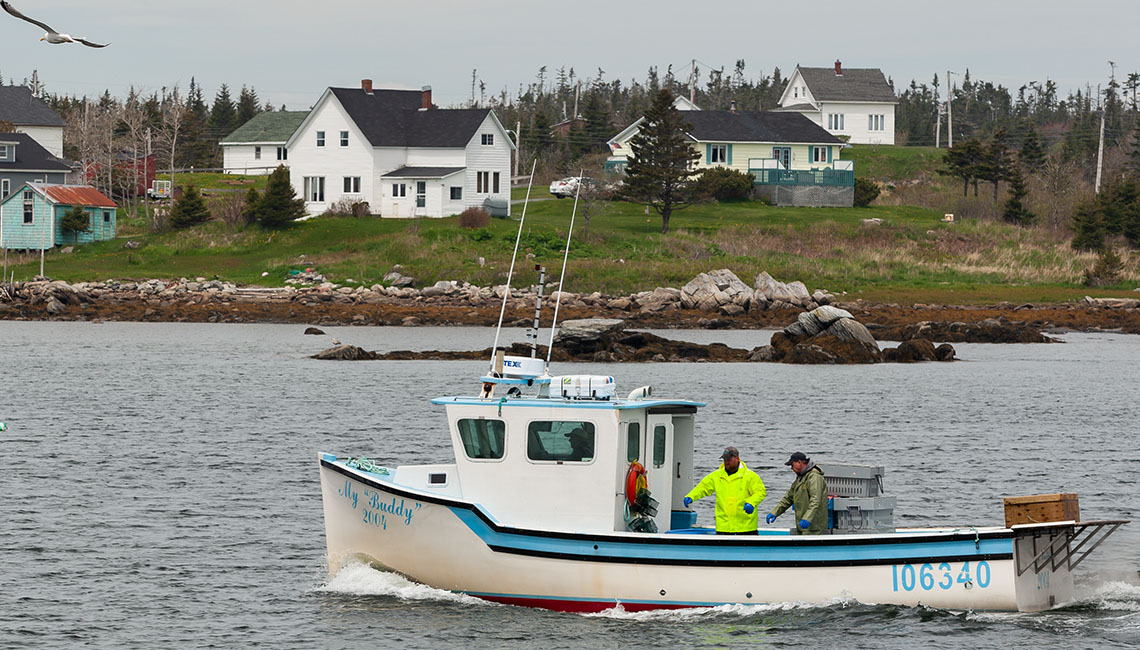 A lobster boat with two fishermen on deck sails back to port. Houses are visible behind the boat.