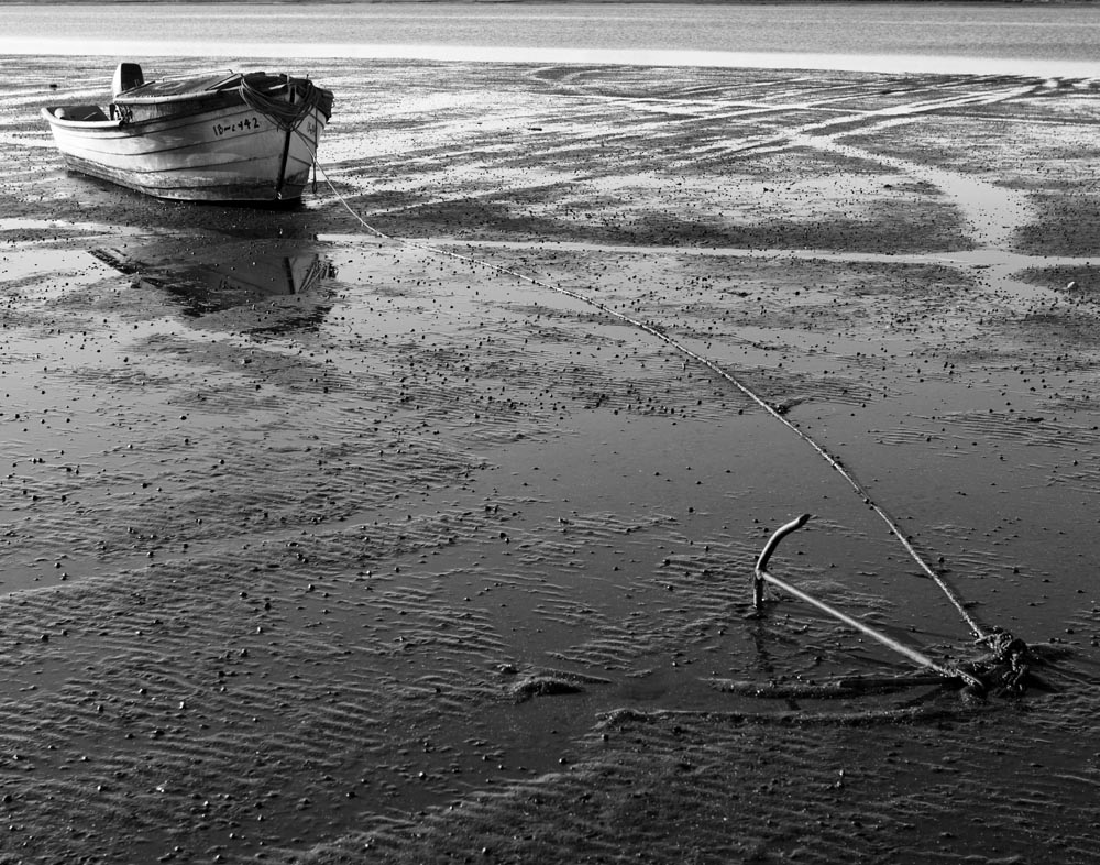 An oyster fishermans dory resting on the sand at low tide