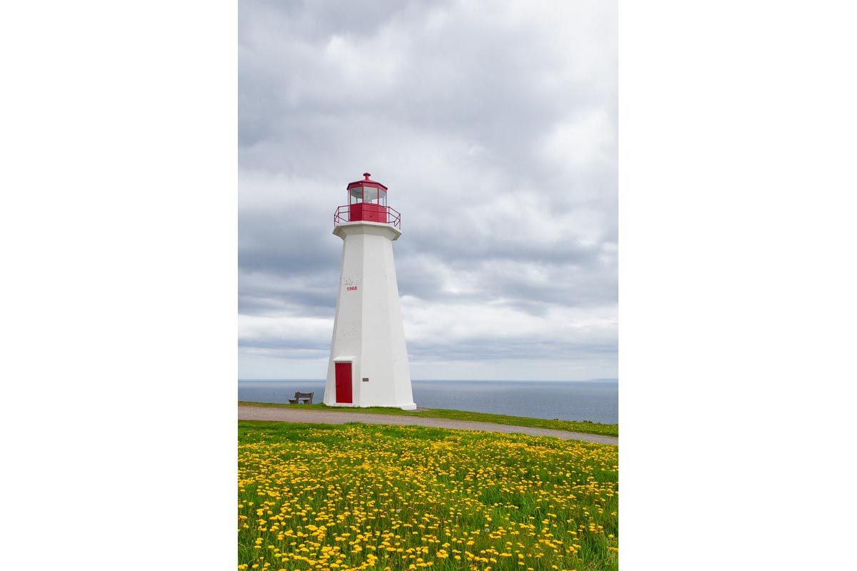 The lighthouse at Cape George, Nova Scotia on a cloudy day with a field of dandelions in the foreground