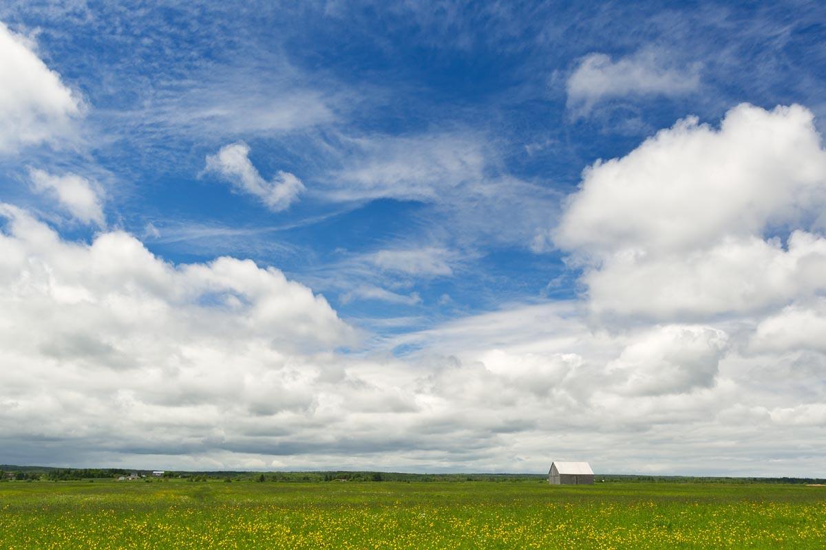 A marsh hay barn on the Tantramar Marsh.