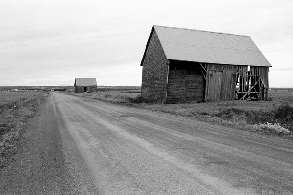 Marsh hay barns on the High Marsh Road, 1996