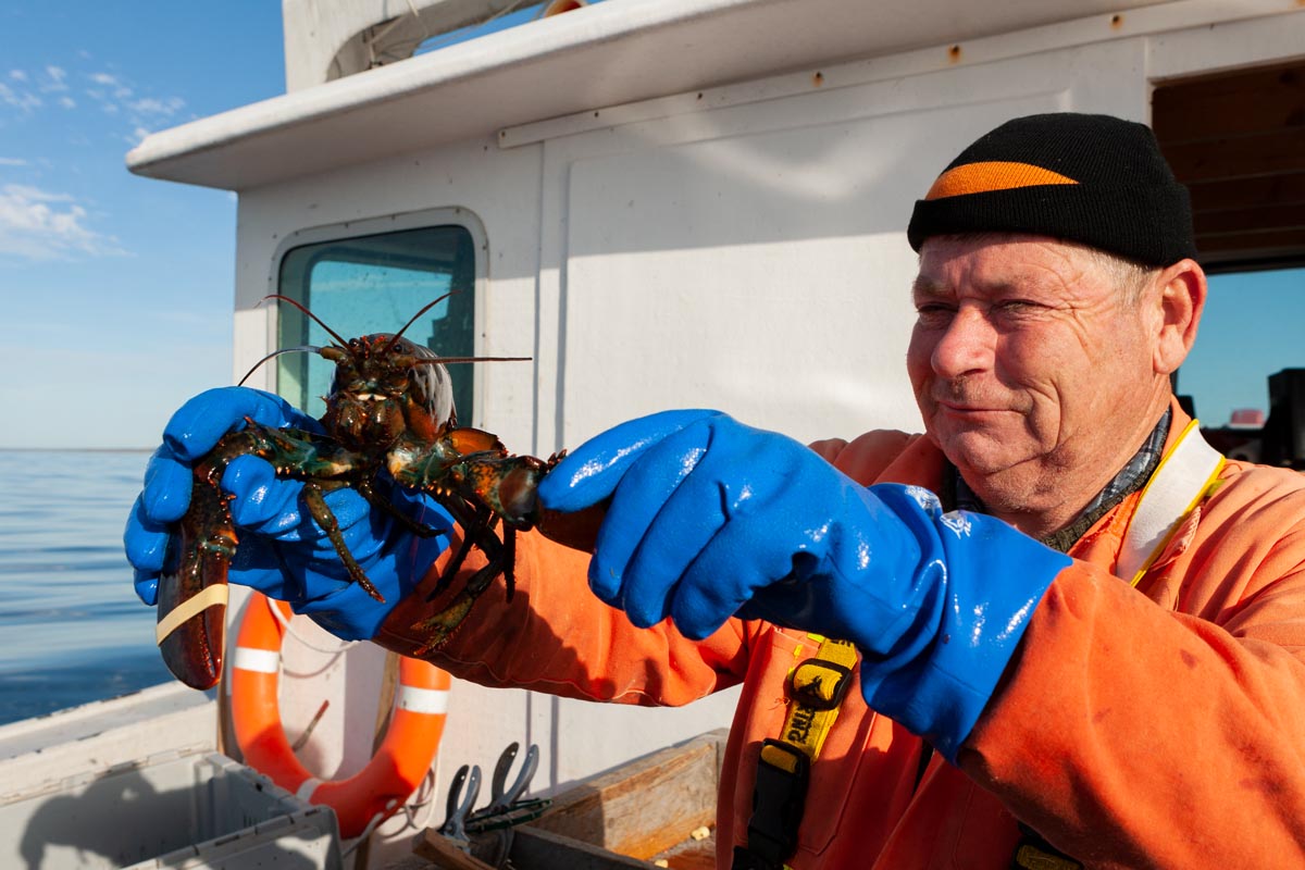 Brian holds up a lobster for the camera