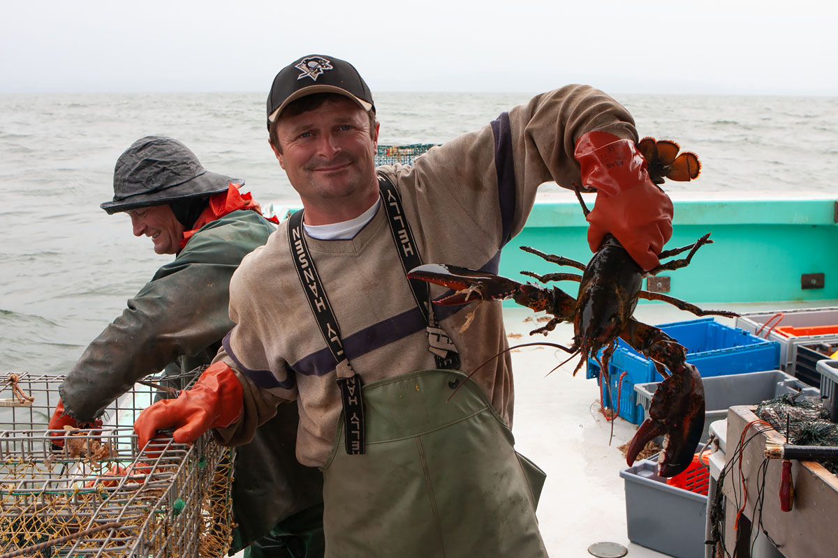 Terry Sandell holds up a nice market-size lobster for the camera