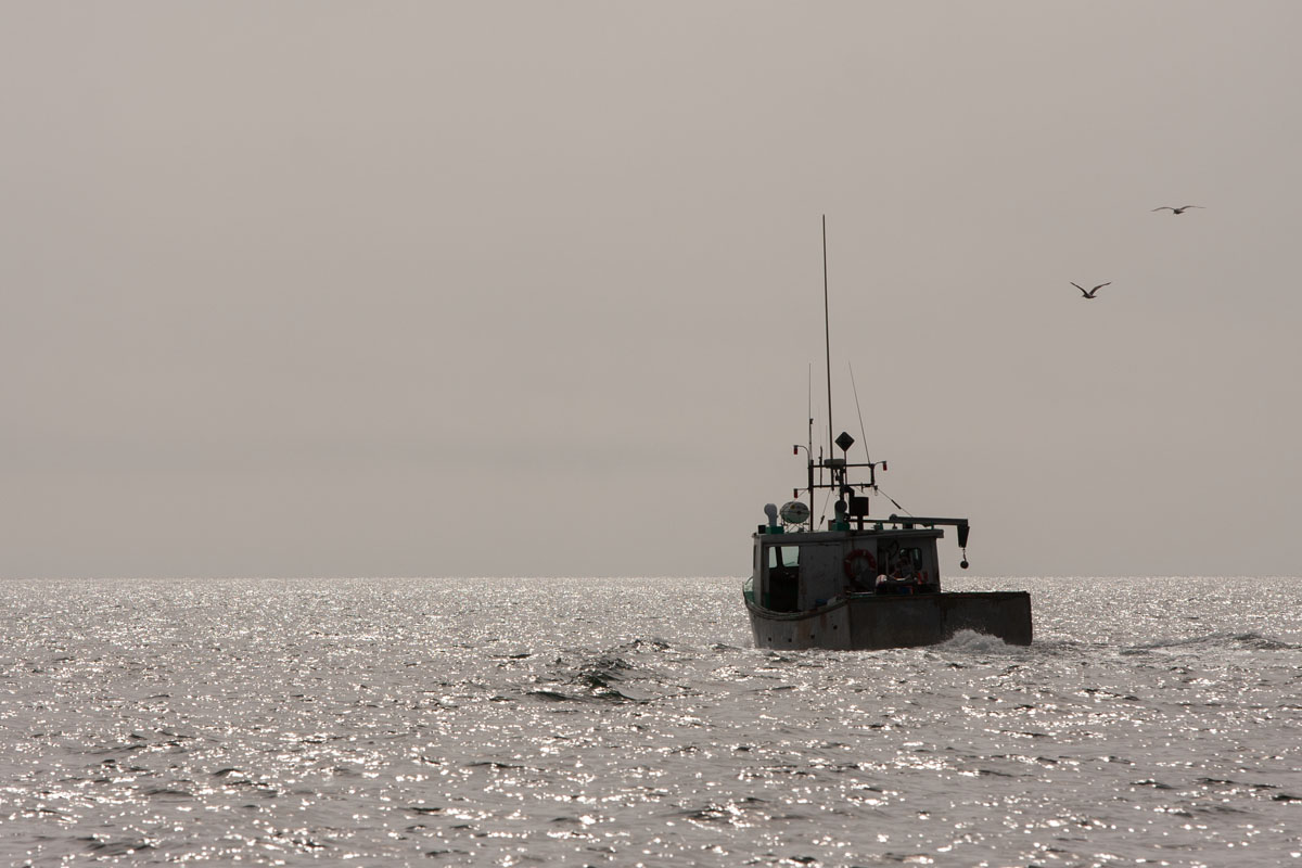 A lobster boat silhouetted by the early morning sun
