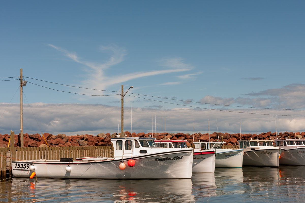Lobster boats tied up at the wharf, Petit-Cap, NB