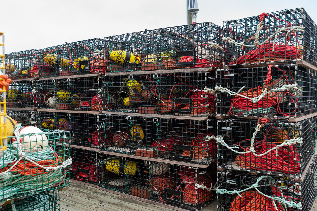 Traps stacked on the wharf
