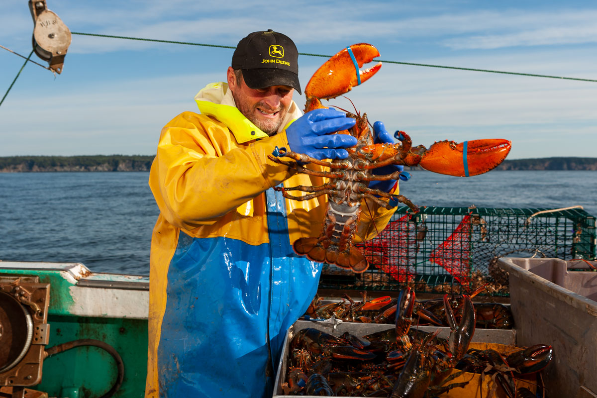 Randy Sandell with a large market-size lobster