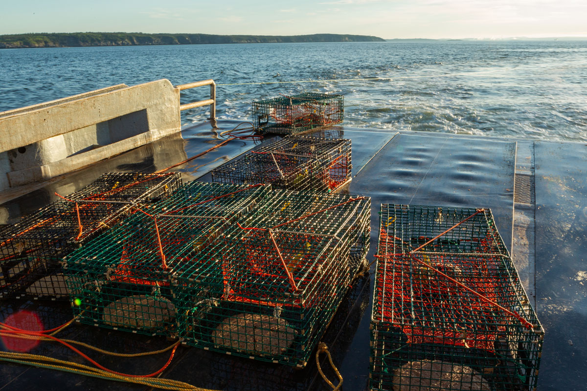 A trawl of lobster pots ready to go back into the water