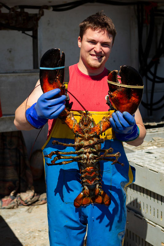 Terry's son, Nick, with a large market-size lobster